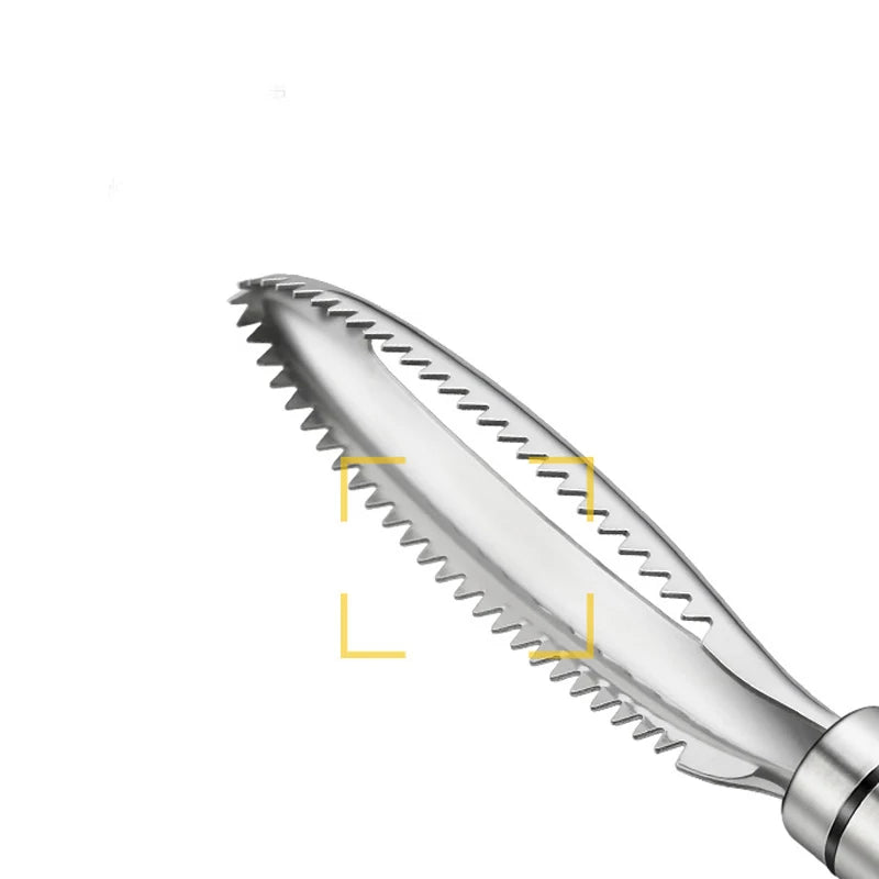 Stainless Fish Scrape