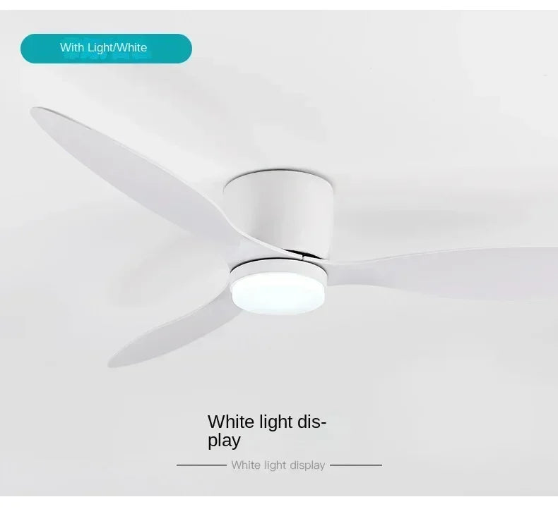 Remote Ceiling Fan &  LED Light