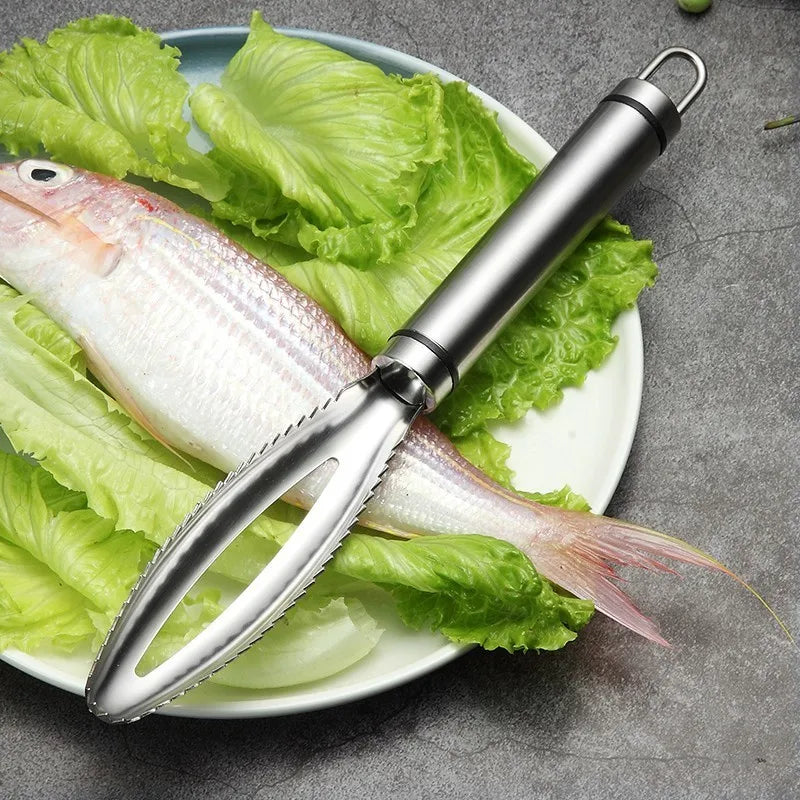 Stainless Fish Scrape