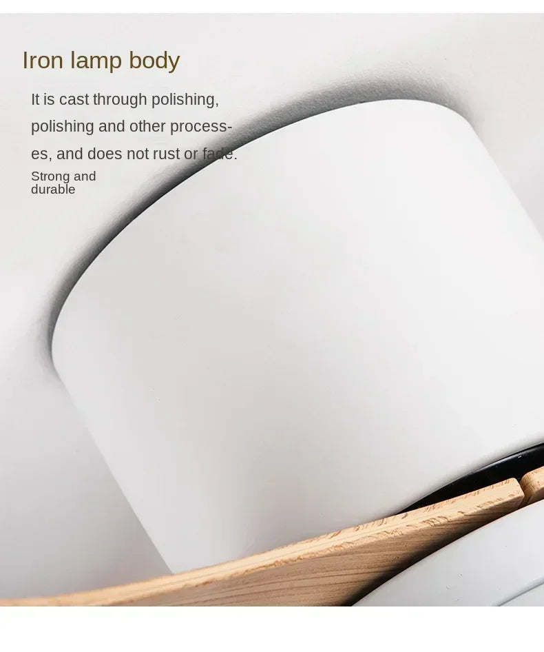 Remote Ceiling Fan &  LED Light