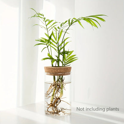 Hydroponics Glass Planter Vase