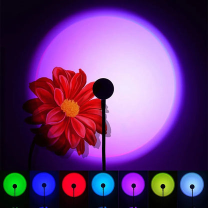 NovaSun Projector