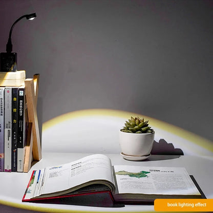 NovaSun Projector