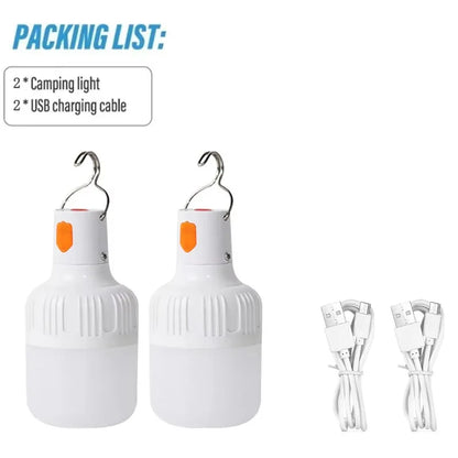 Rechargeable USB Camping LED Bulb with Hook