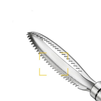 Stainless Fish Scrape
